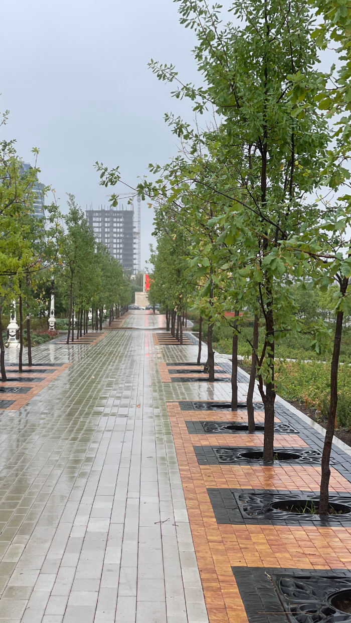 Приствольная решетка для дерева ZKING CRUST 1.2х1.2м Черная в Парабели фото