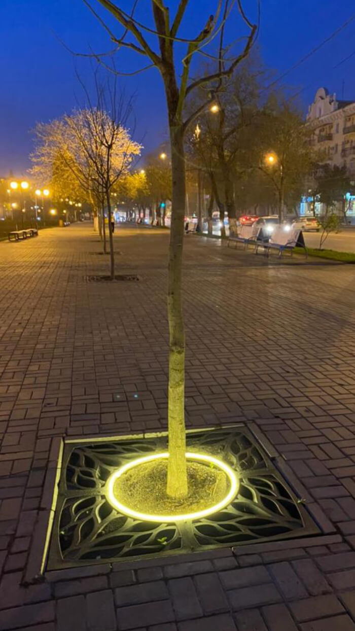 Приствольная решетка для дерева ZKING CRUST 1.2х1.2м Черная в Парабели фото